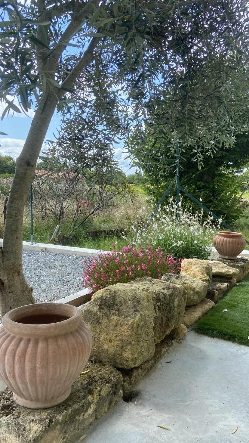 Maison de charme au cœur des vignes et Gironde Gauriac Extérieur photo